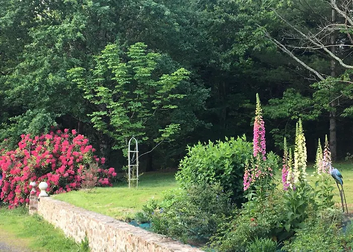 My Lilifab Frühstückspension